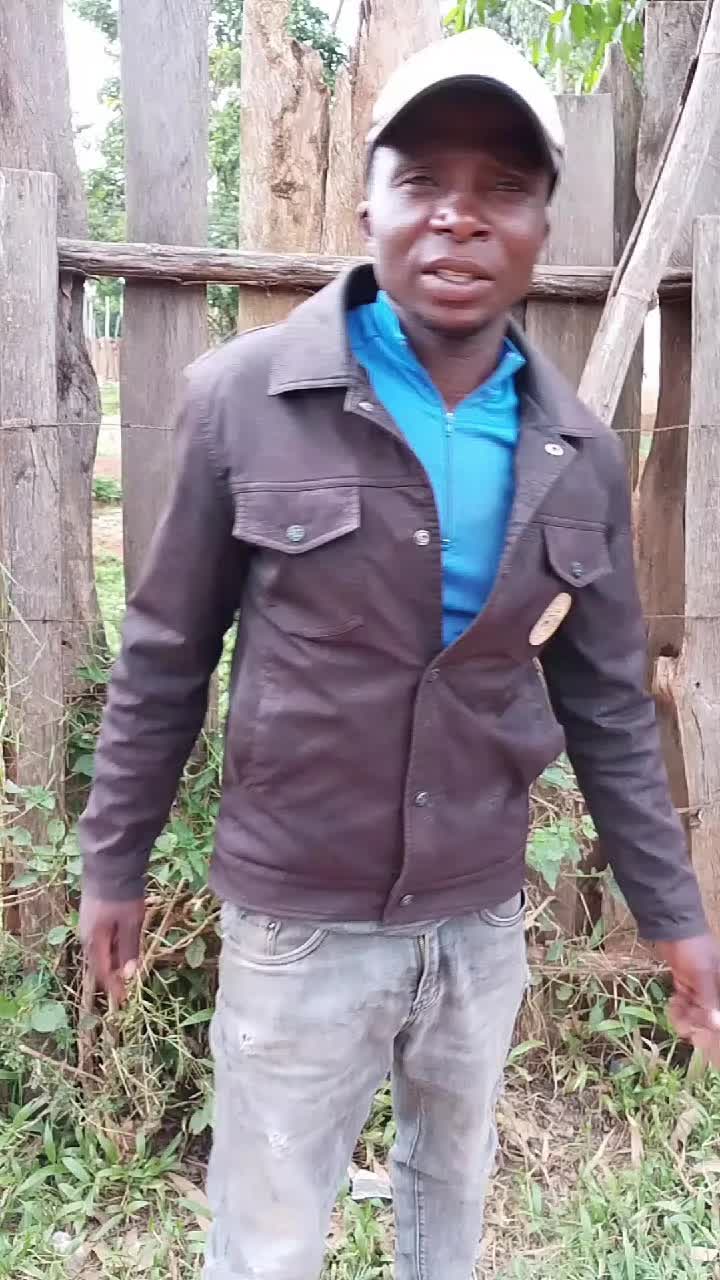 @Raz we kamukuywa