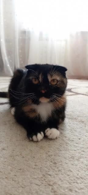 @Verronichka🐆🤍