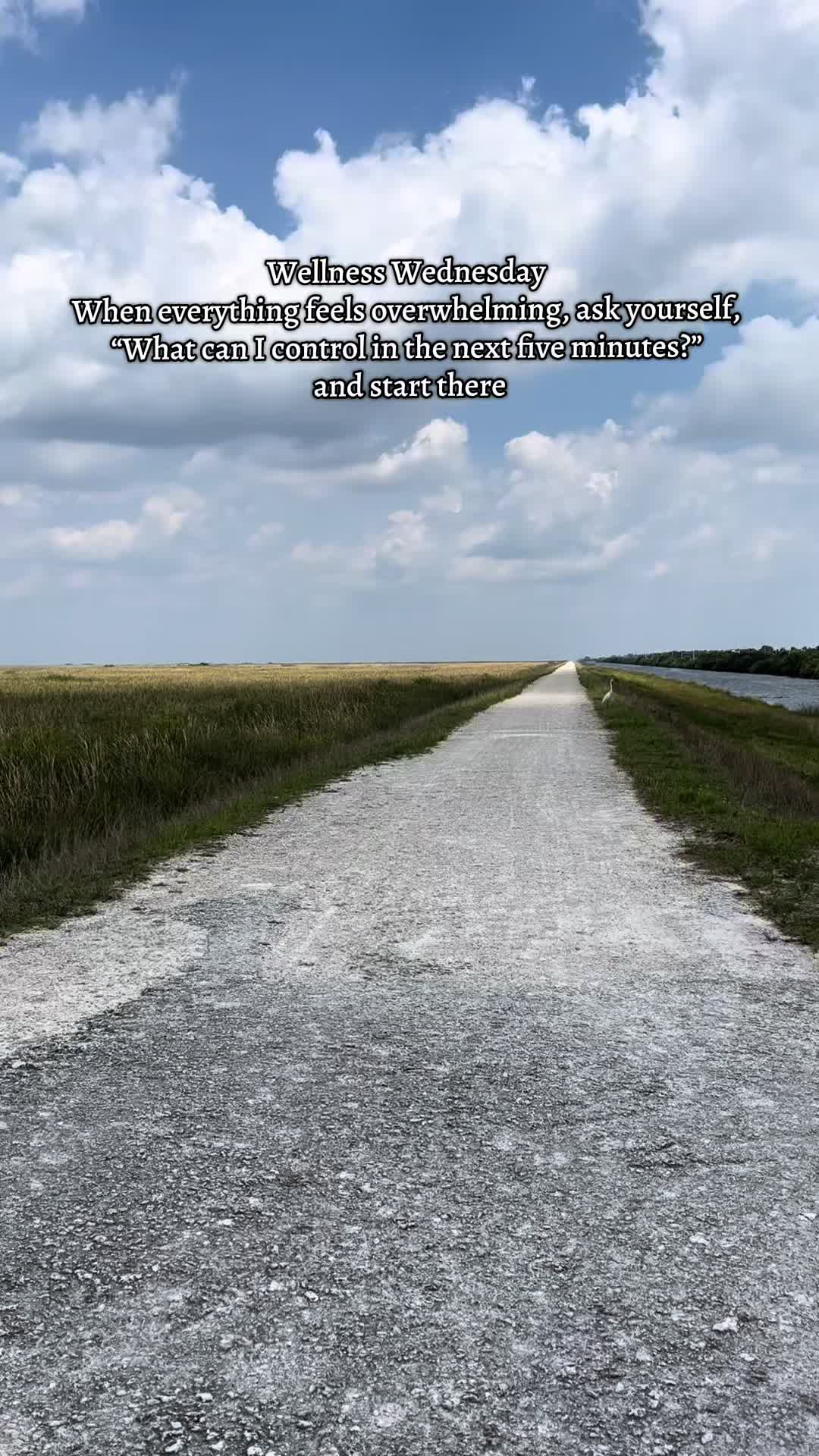 @FoodAllergyTraveler