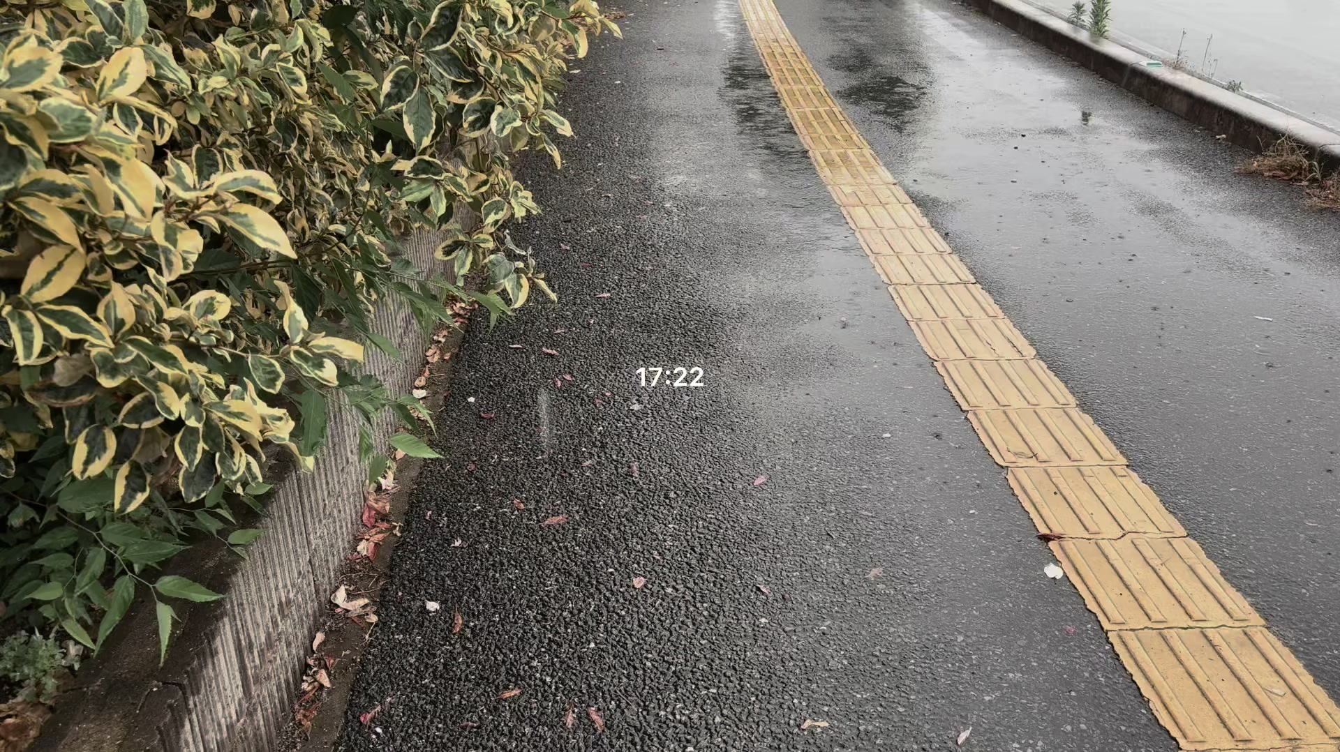 @ソ ル