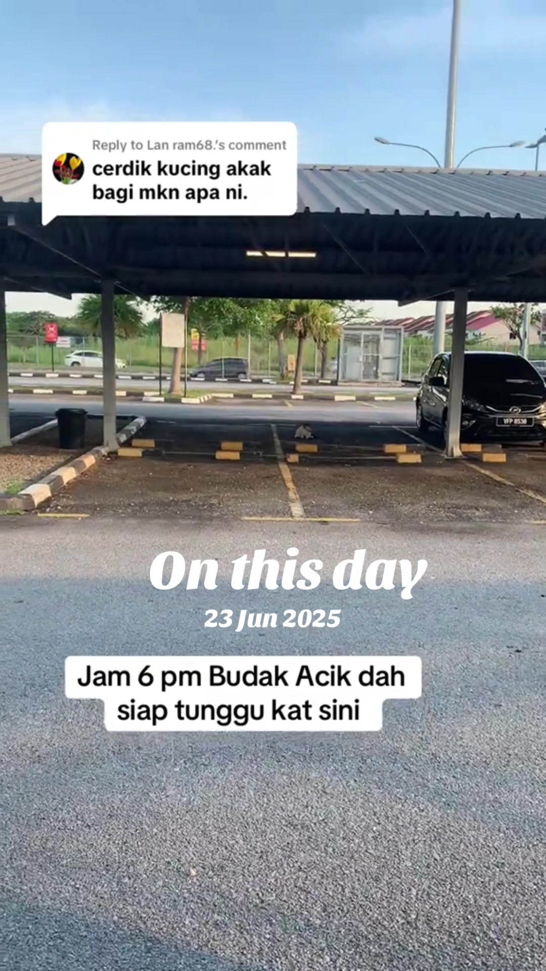 @Cik Mai Shop