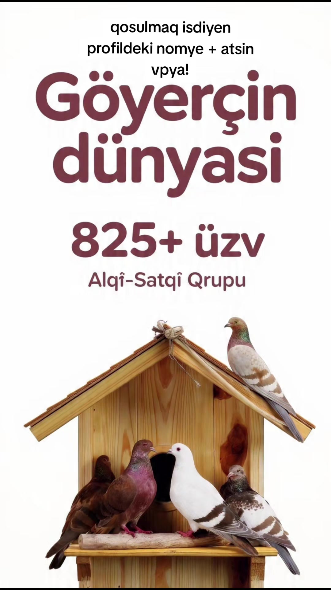@Resul_osanli020