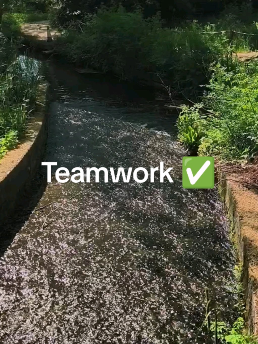 @Teamwork