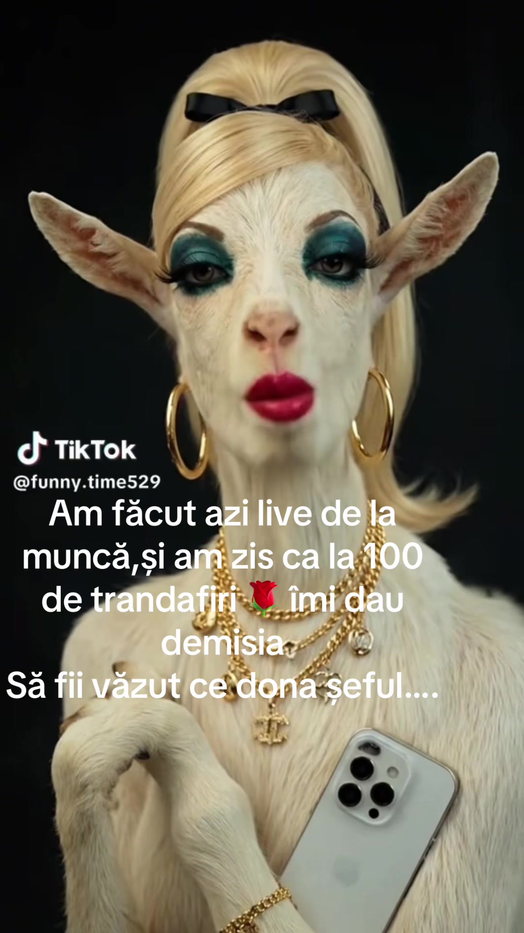 @Ancuta