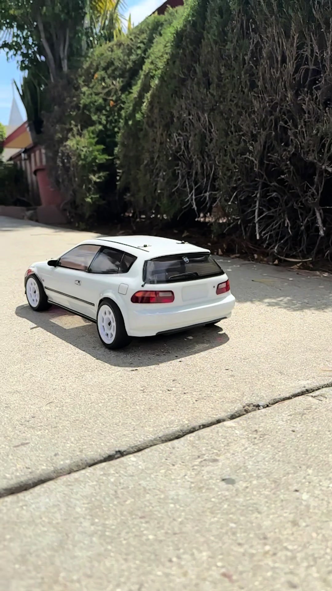 @costco_rocks_rc