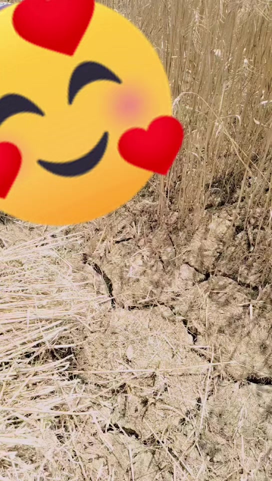 @sofiiiiii❤️