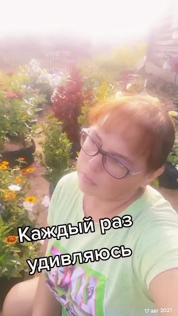 @Алёнушка