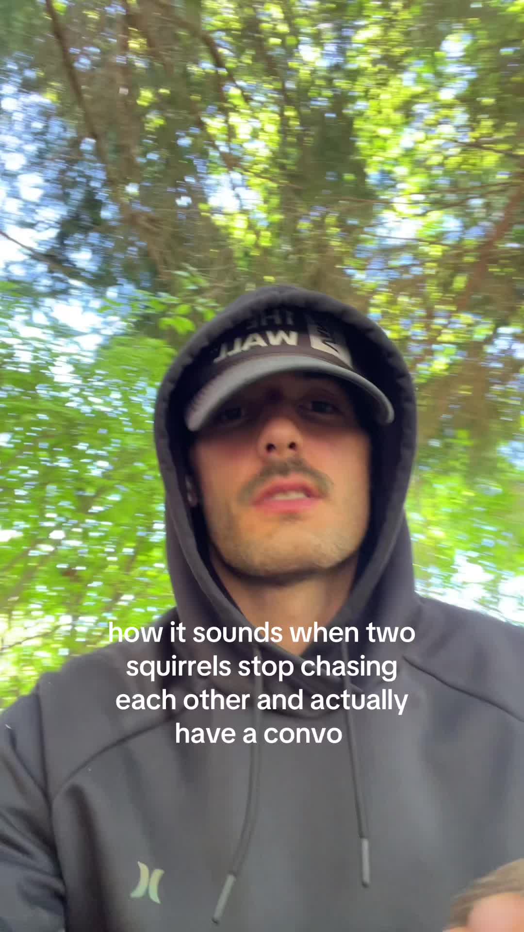 @trees and lucy