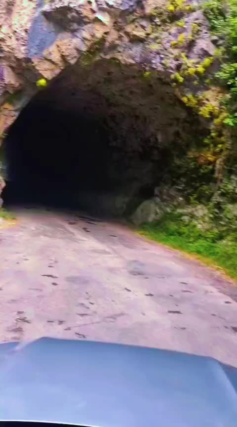 @david4cx