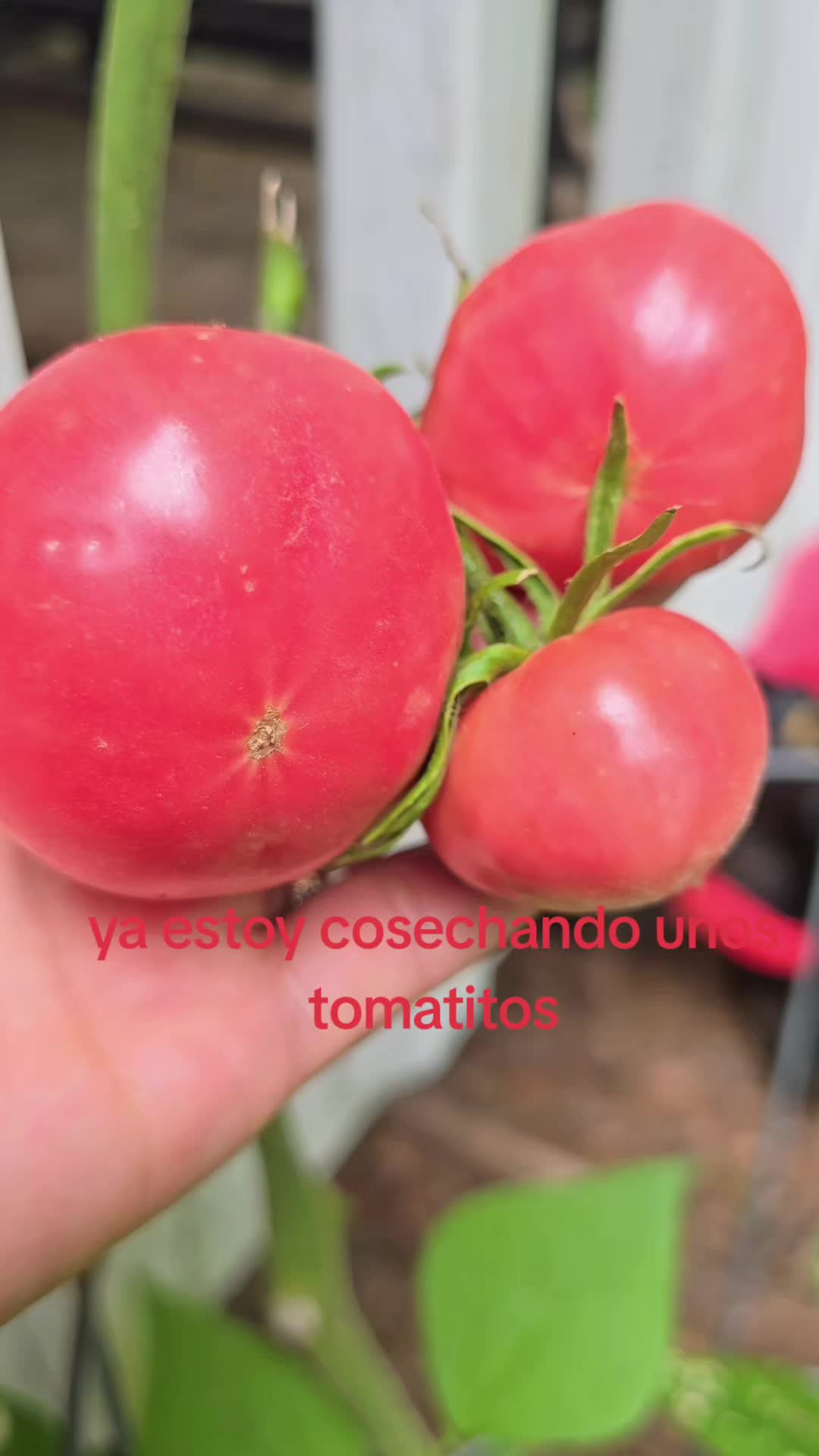 @Isabella9795