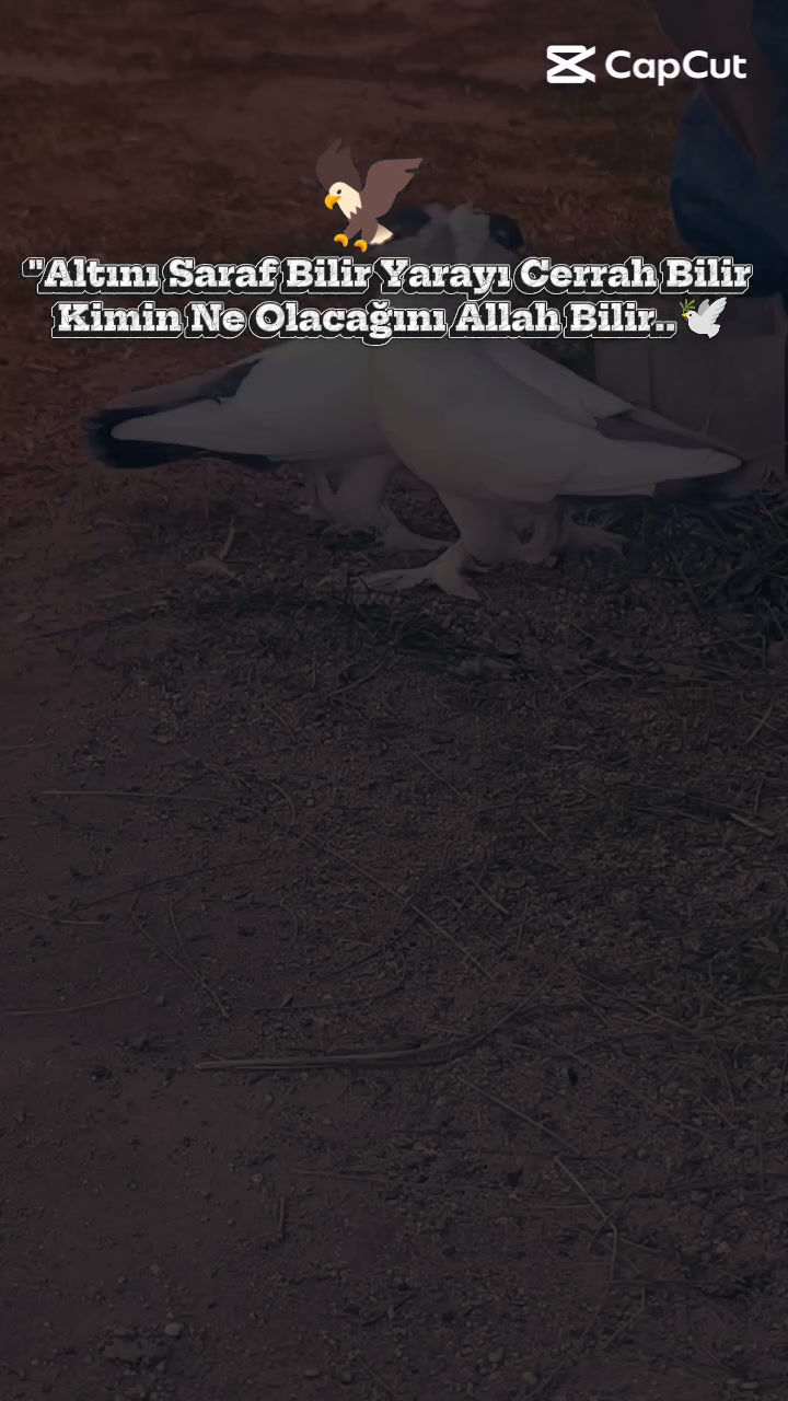 @🕊️FURKAN KARAMAN 03🕊️
