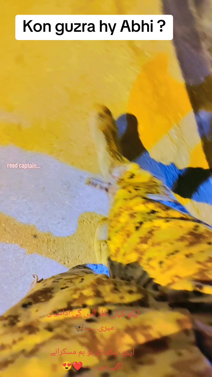 @𝒁𝒆𝒓𝒊 𝑭𝒐𝒋𝒊
