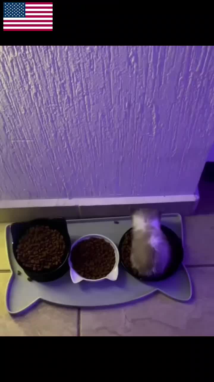 @Kitty Meow