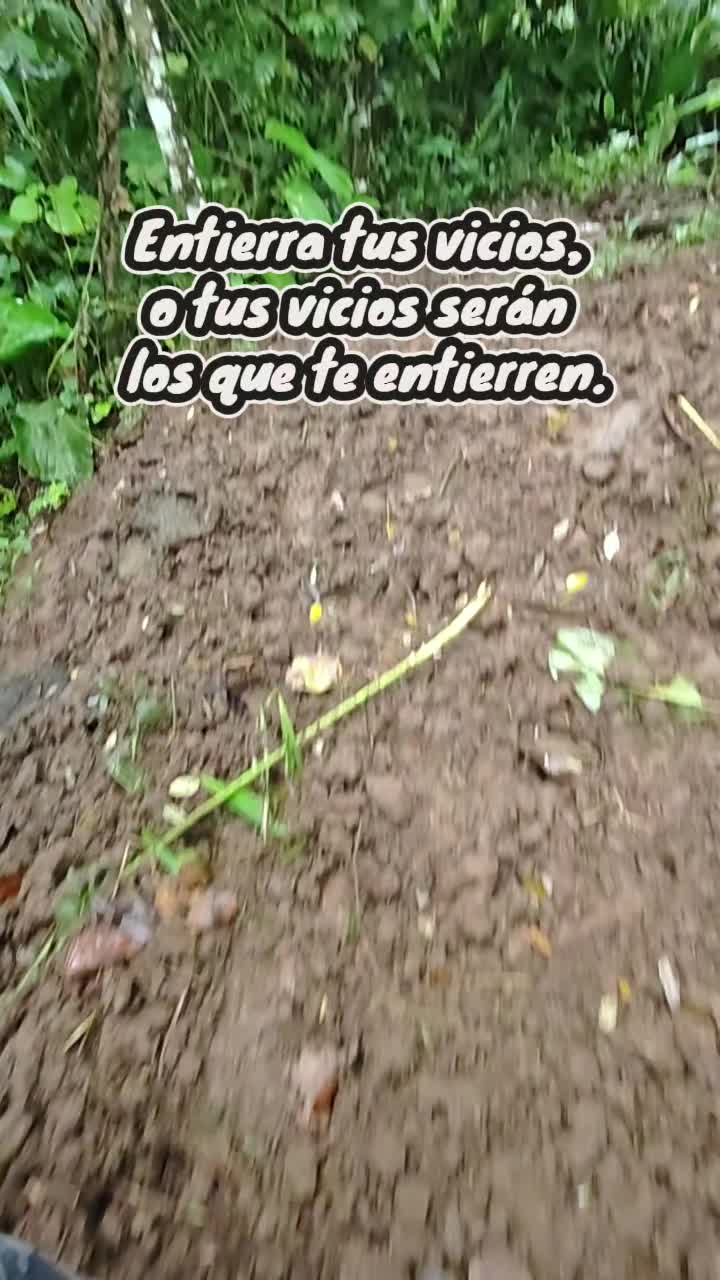 @Alejandro Silva