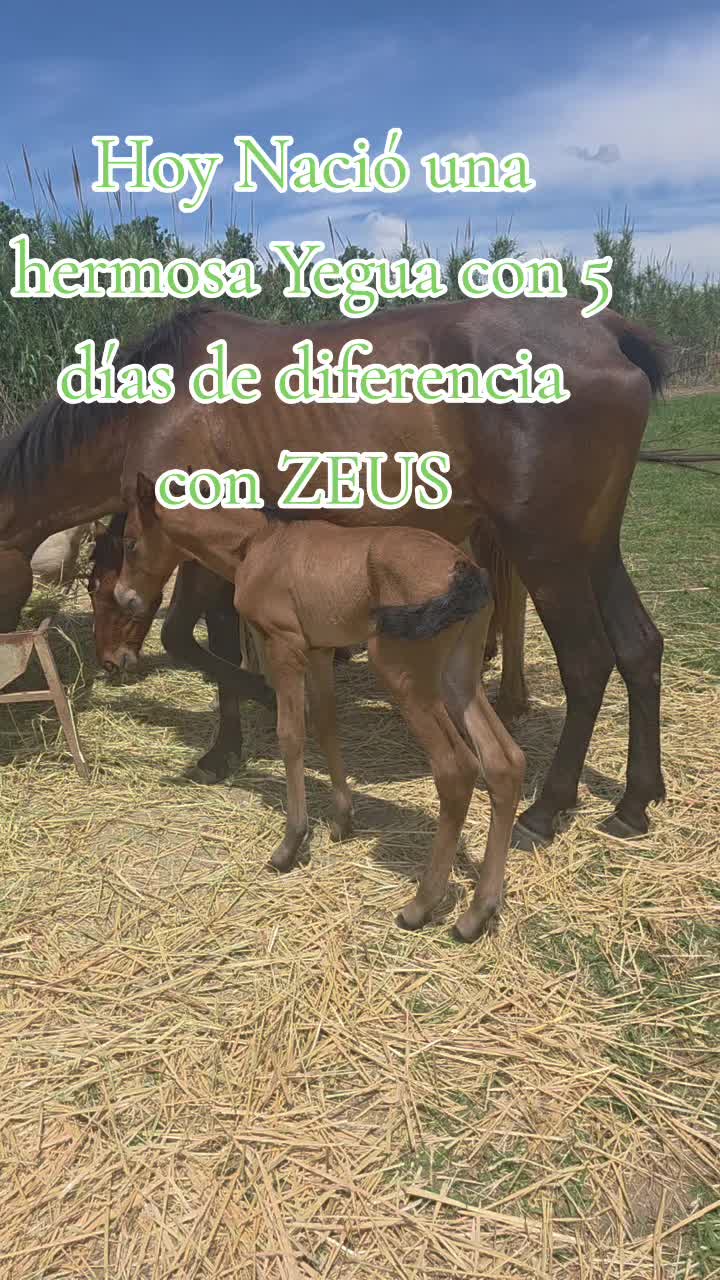 @@rinconlatino