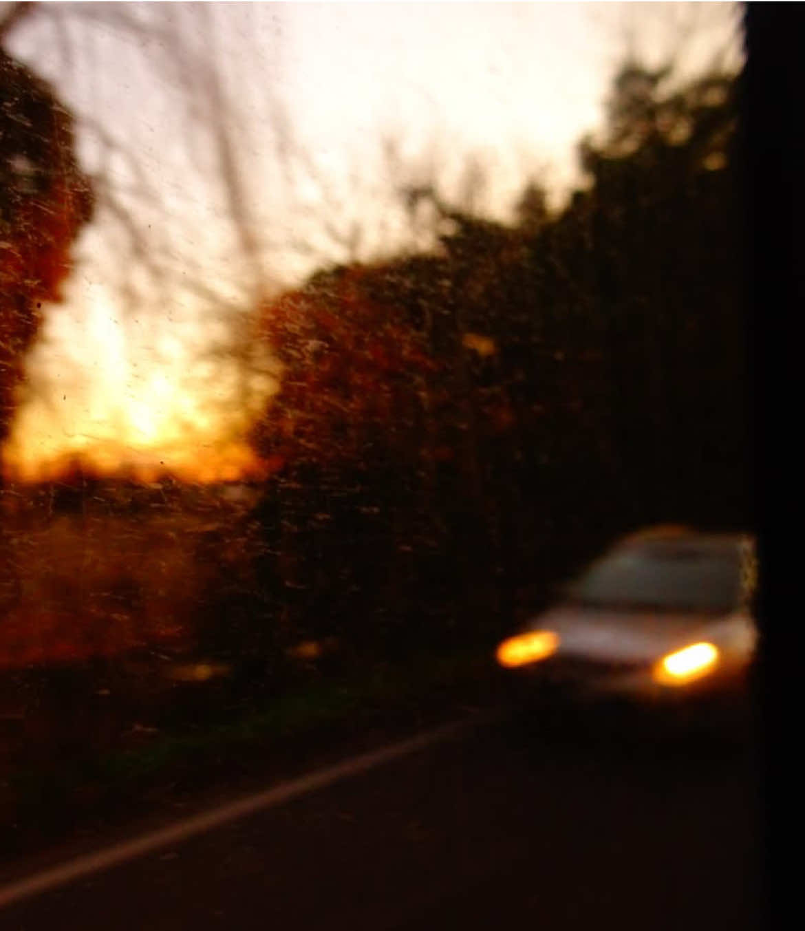 @daylight