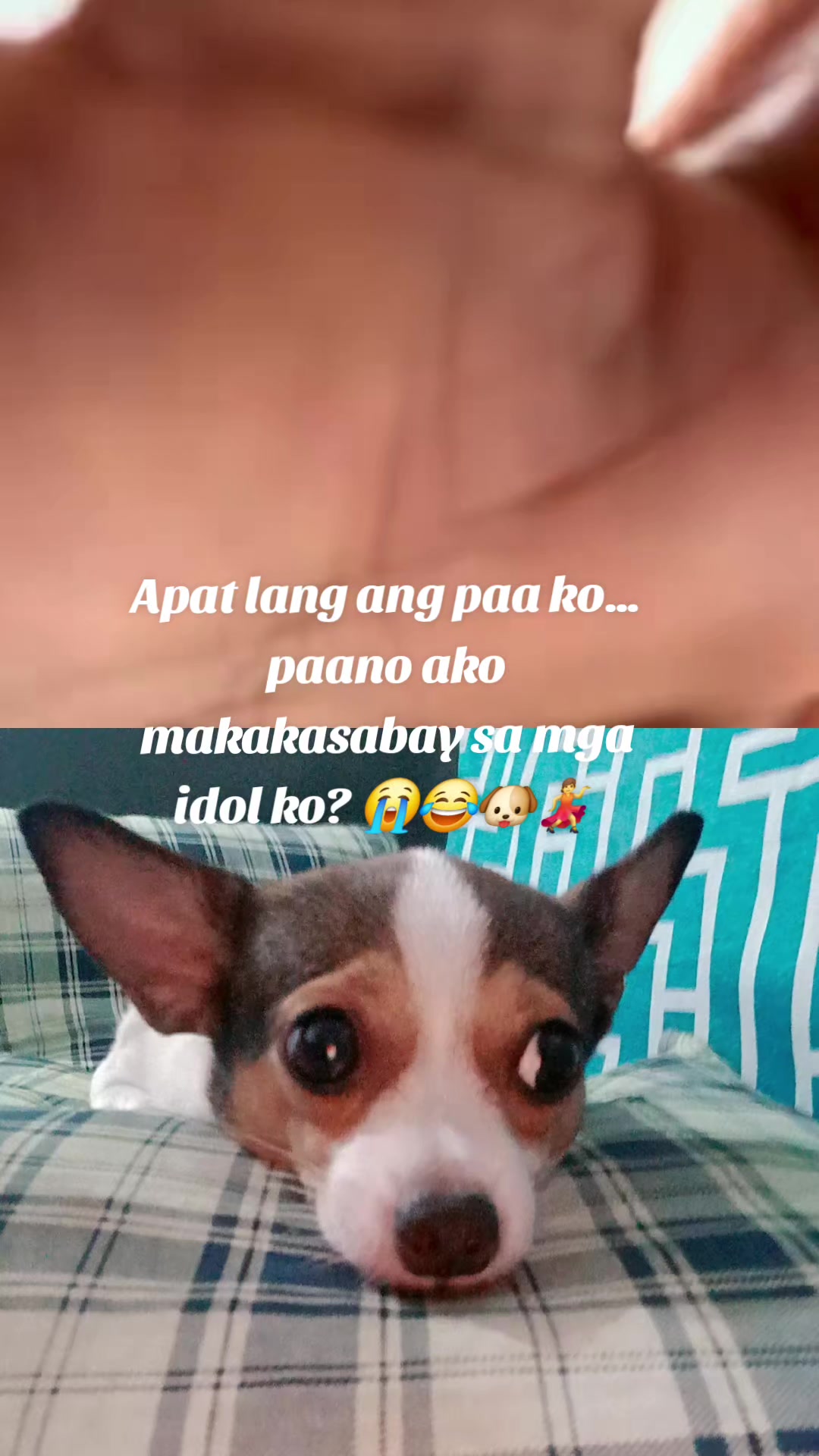@renantepet