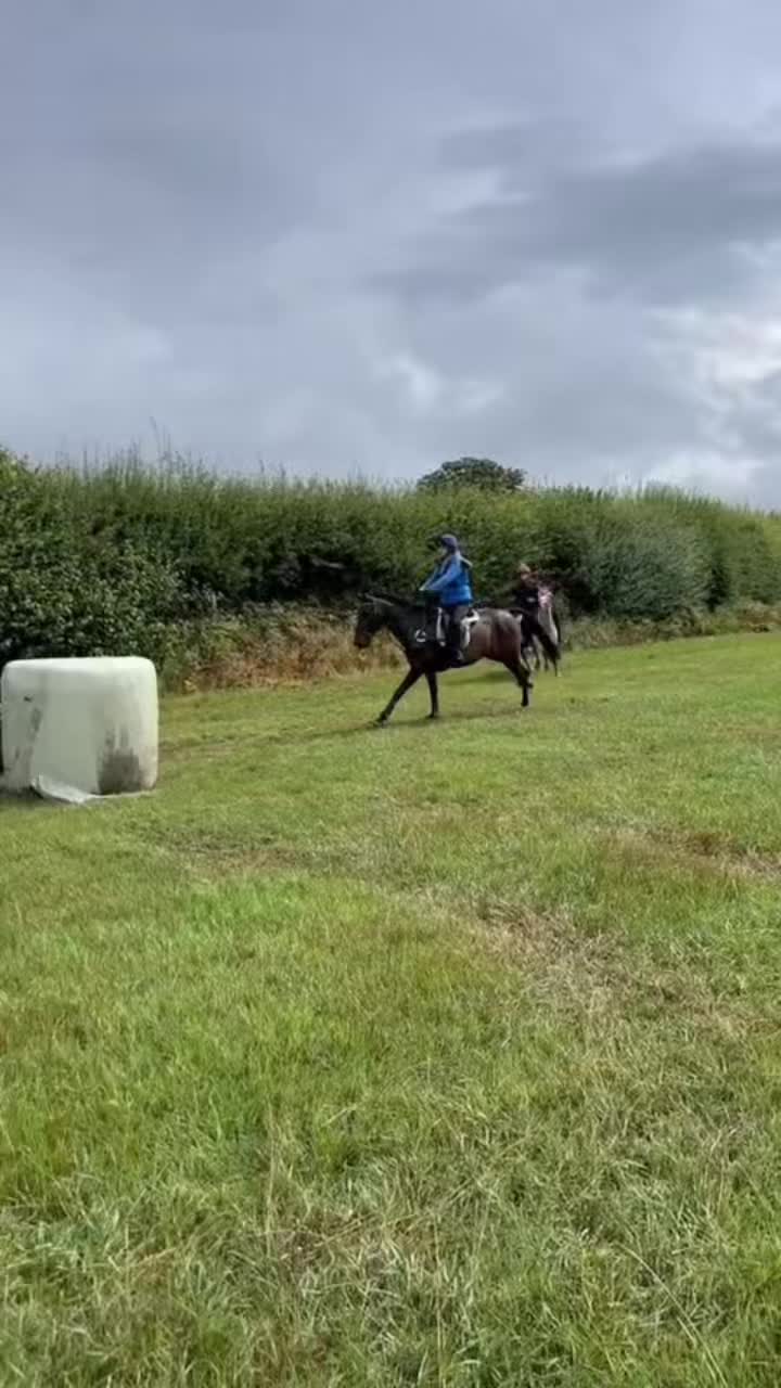 @poppy 🌾🐴 🇬🇧