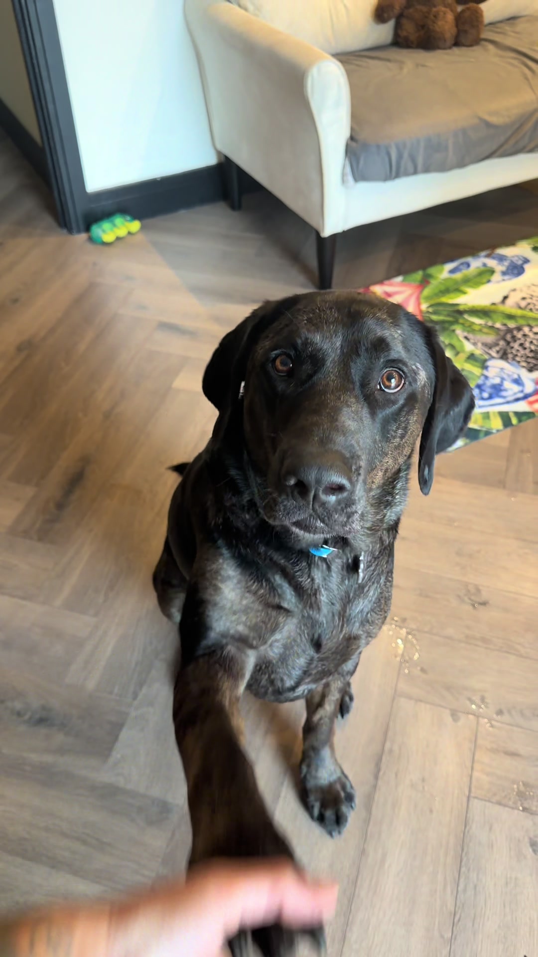 @Leotheleopardlab