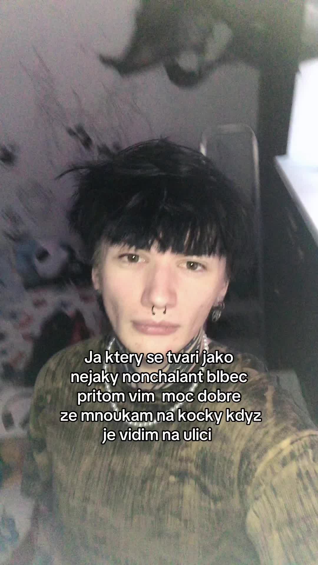 @kvitek