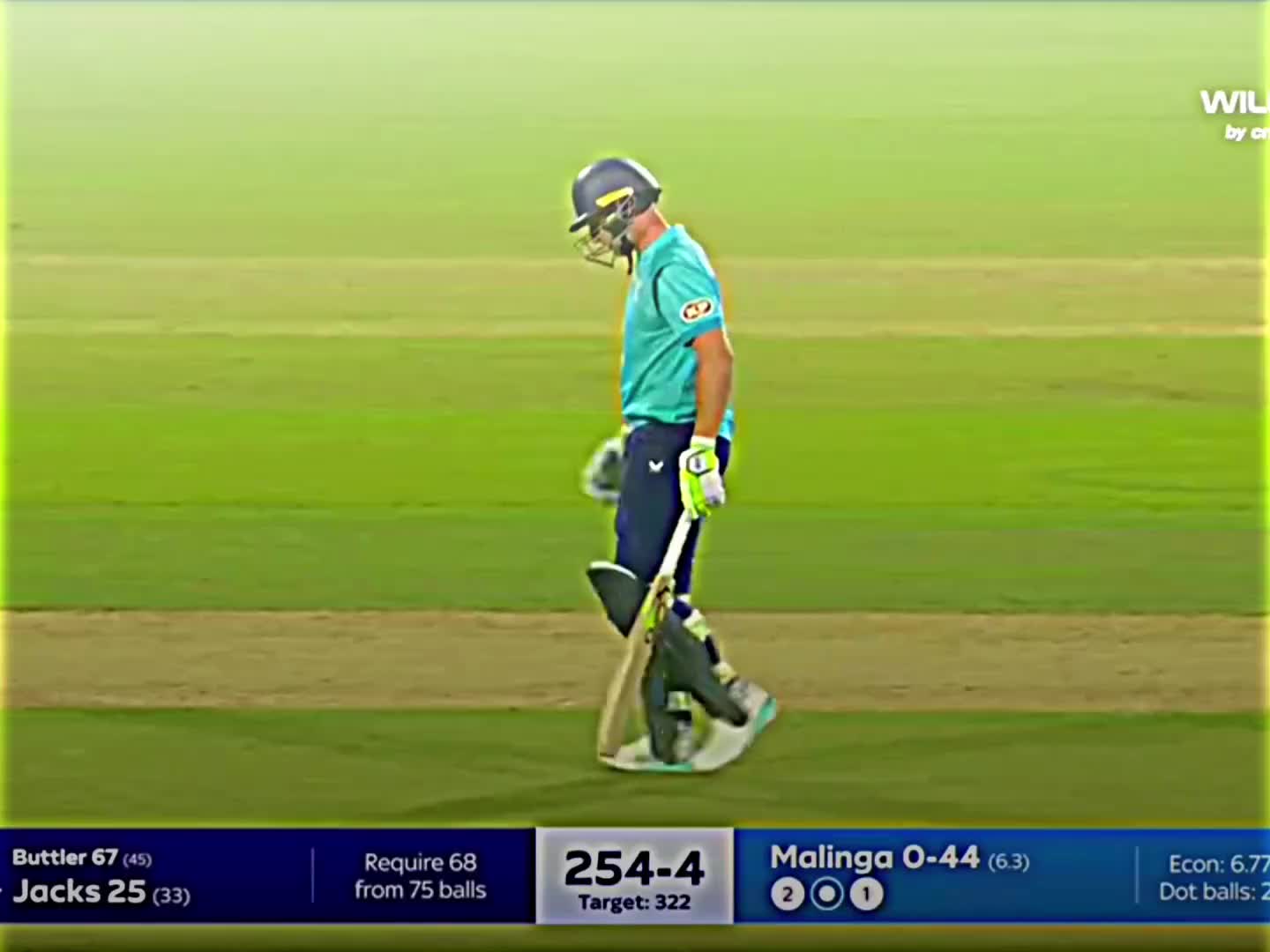 @CRICKET 👀👅