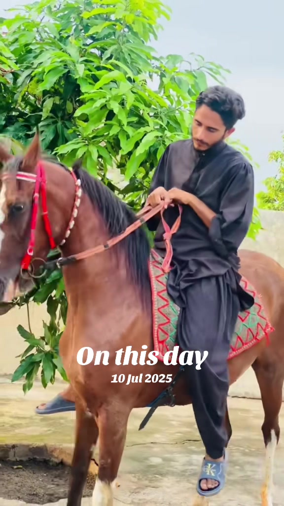 @Ch Hammad bokan ♥️🐎