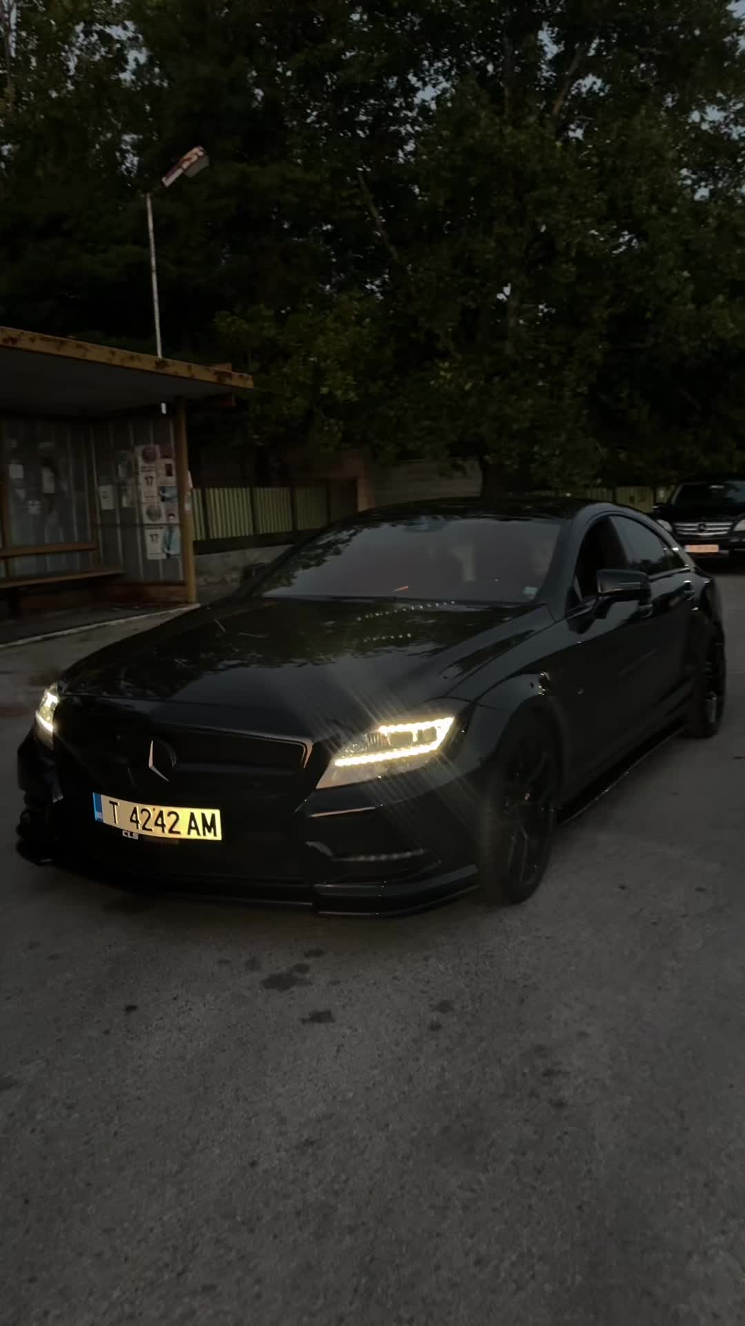 @sevginskii