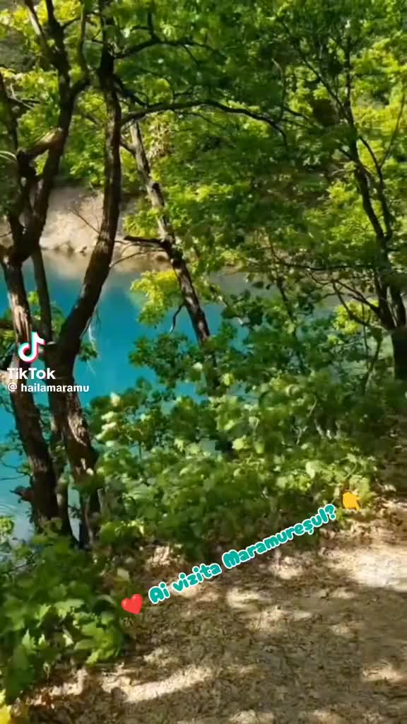 @costelcorduneanu60