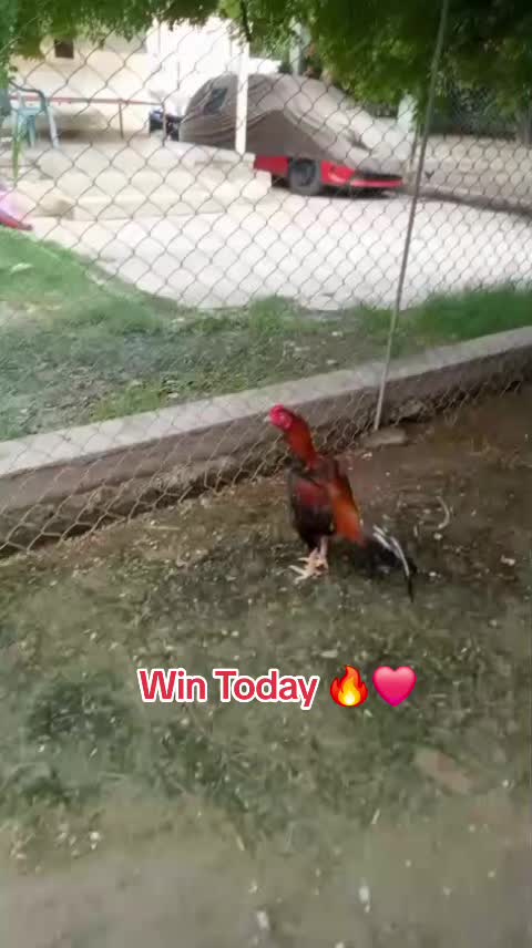 @Team UK