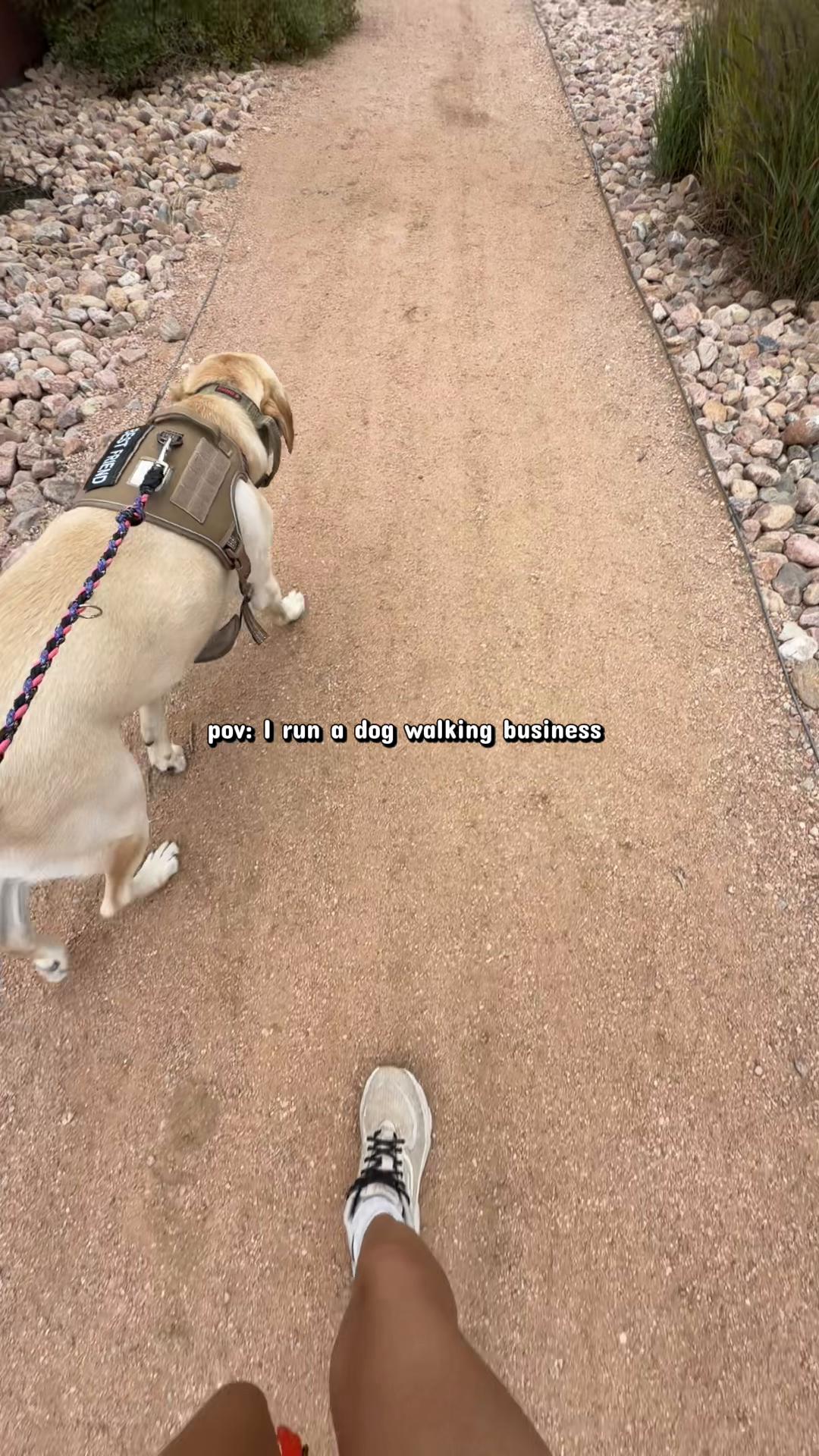 @Colorado Springs Dog Walker
