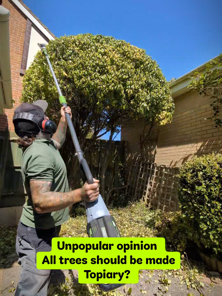 @Gary Hall Garden Services