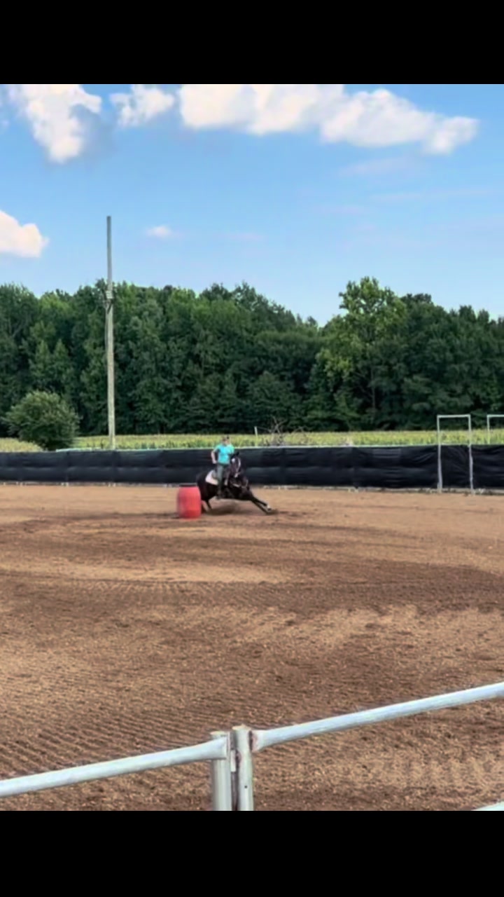 @KY Performance Horses