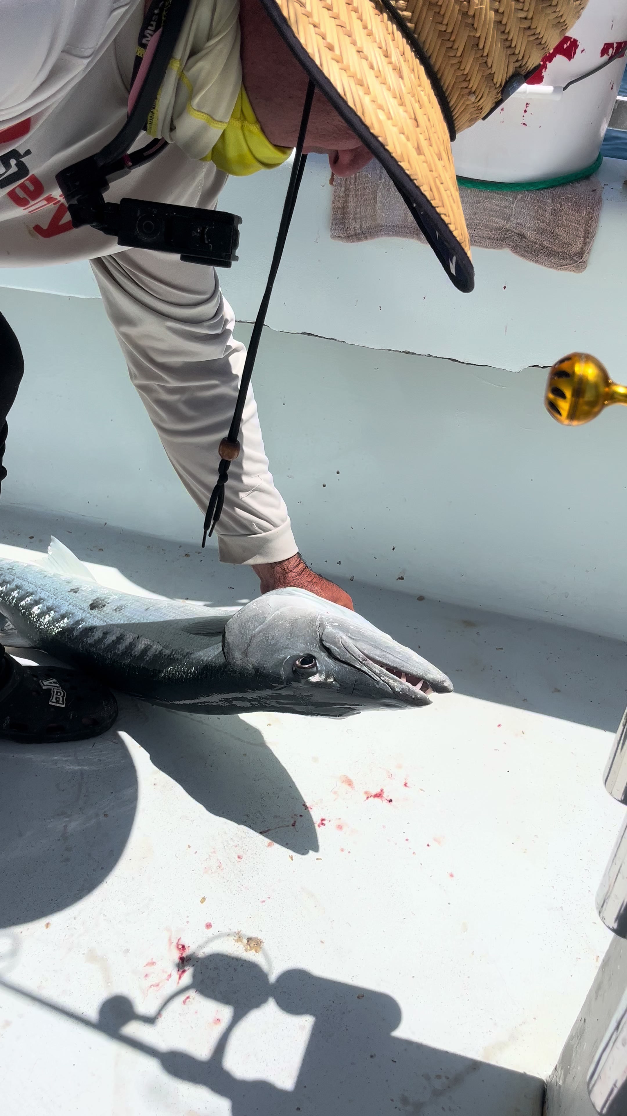 @Raul-Raul