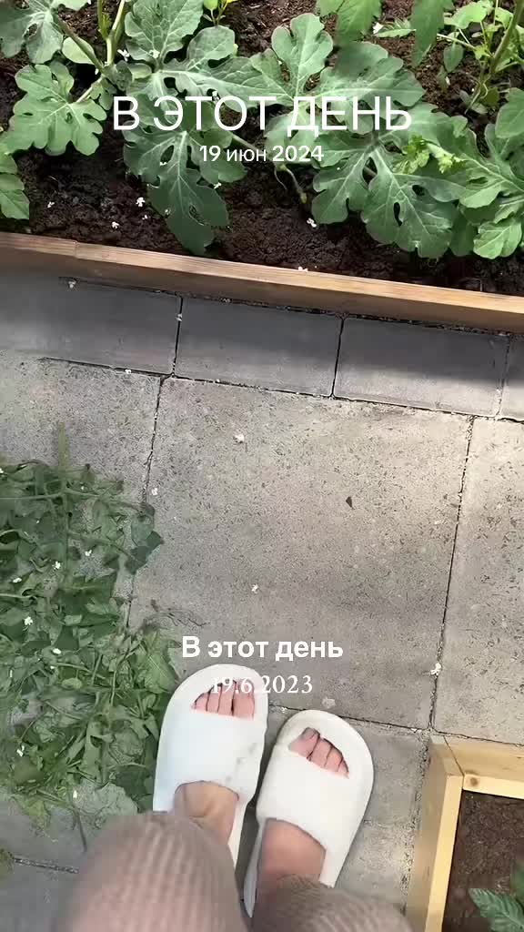 @blondievs