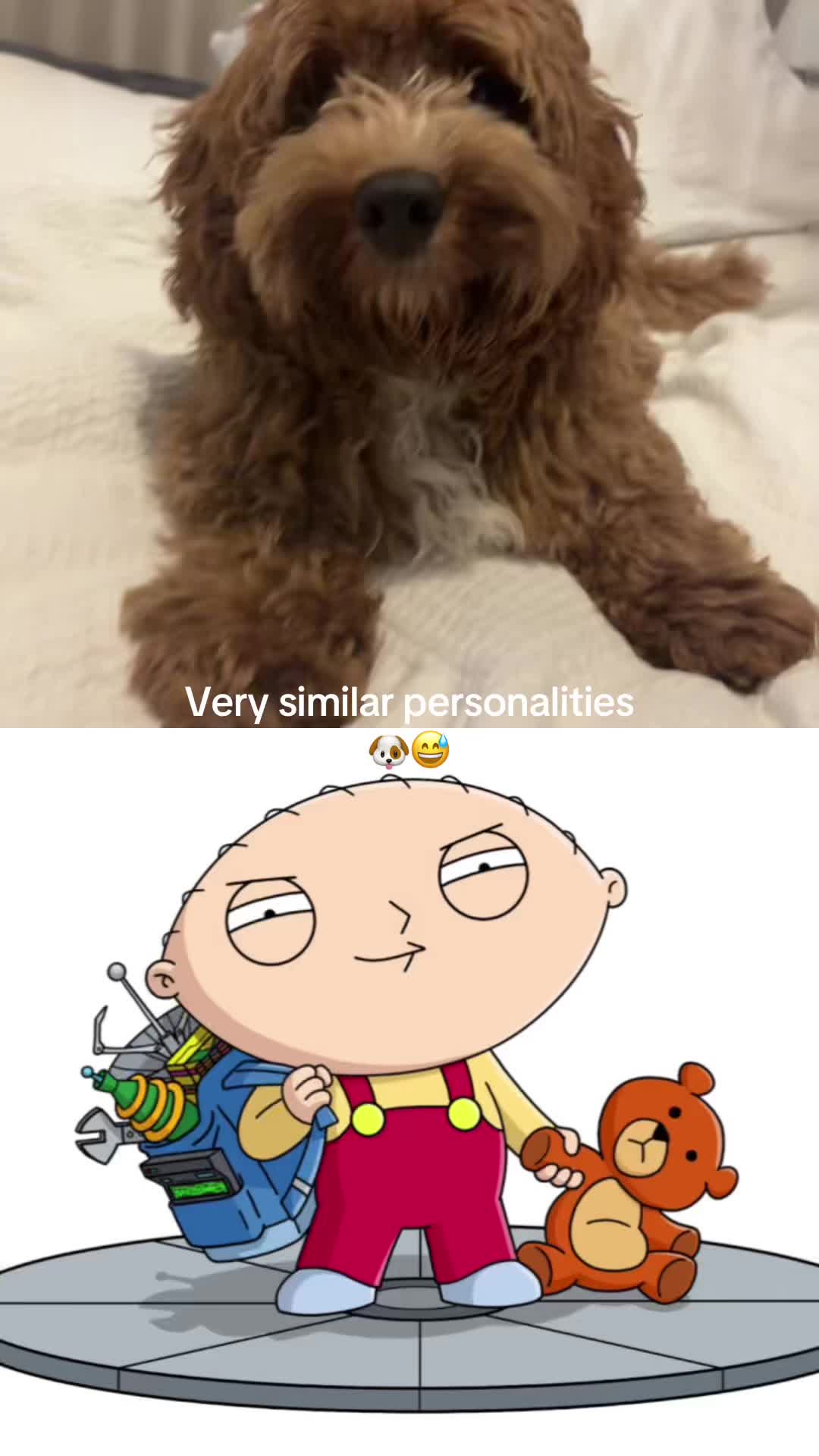 @bentalkstics