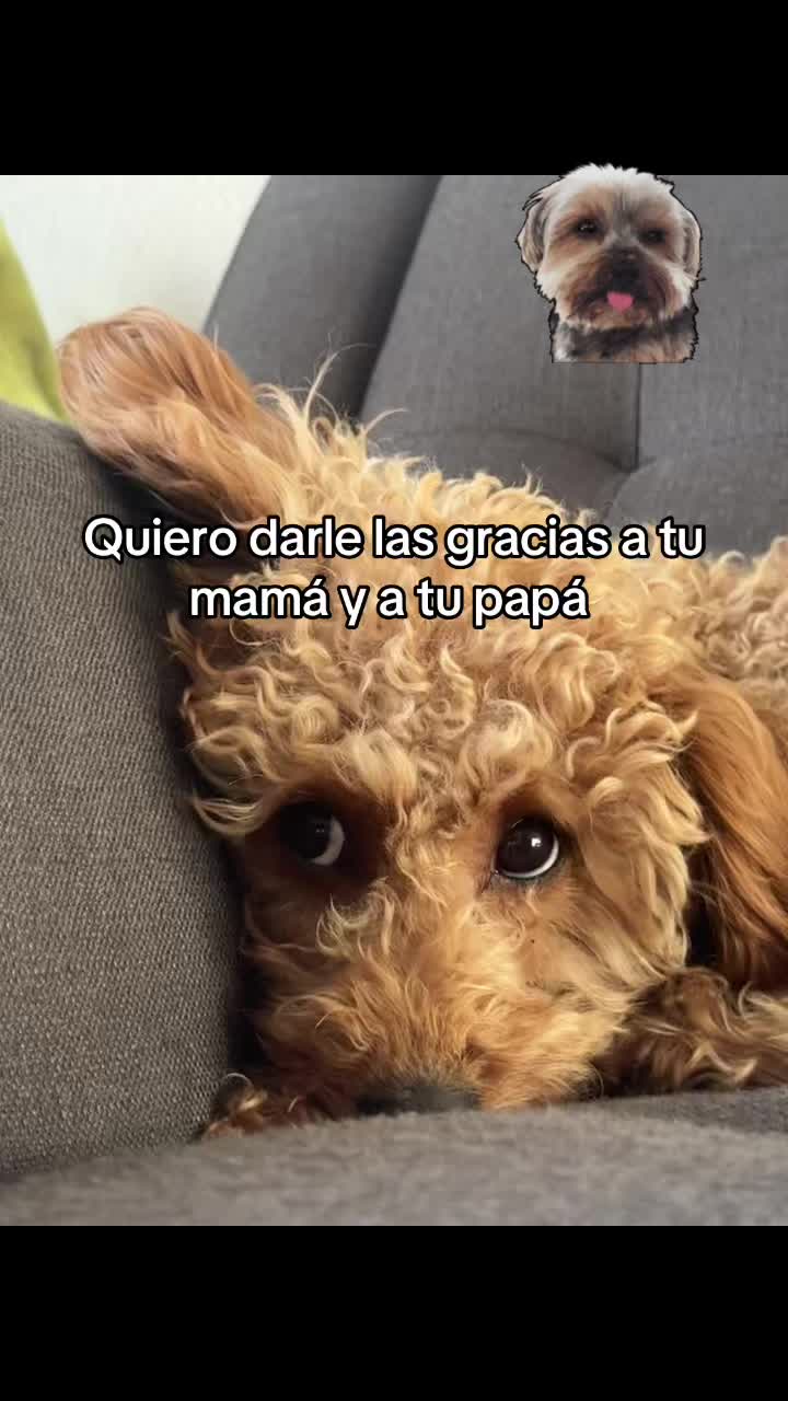 @Sarita1321❤️