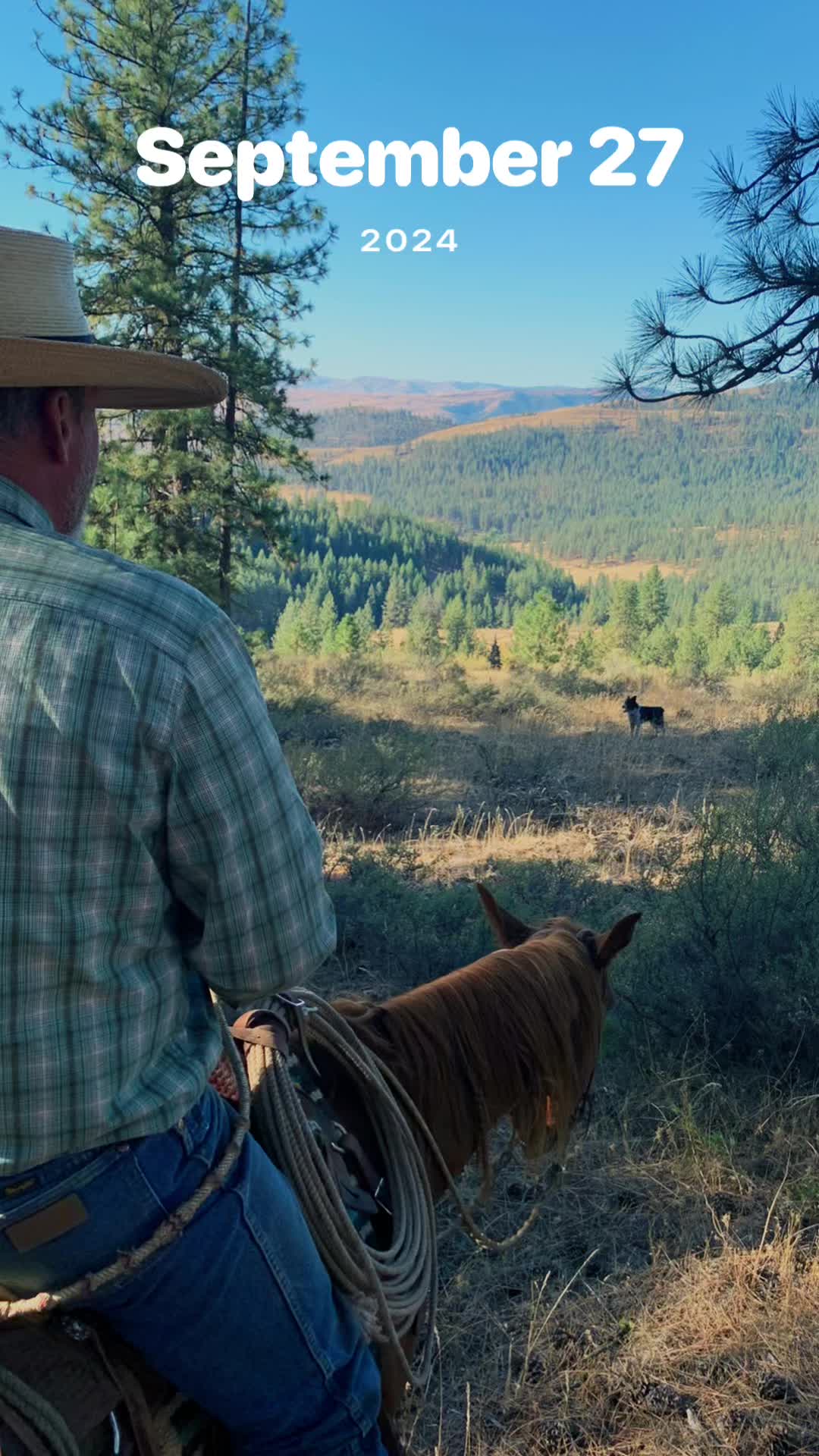 @Cowboytok