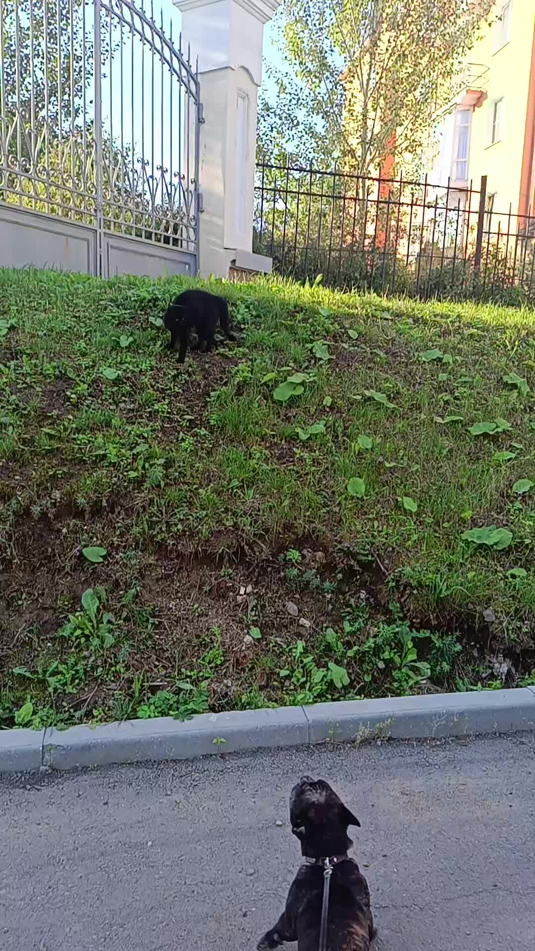 @😍 Натали😍