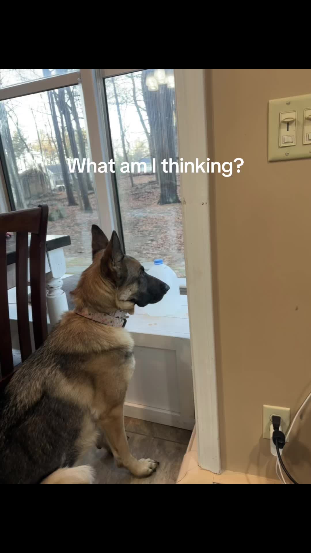 @derekhenderson444