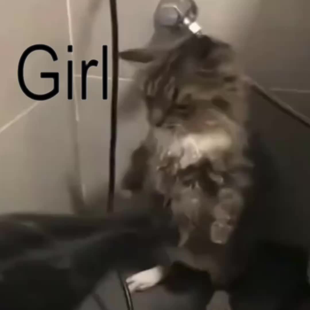 @Grimsies