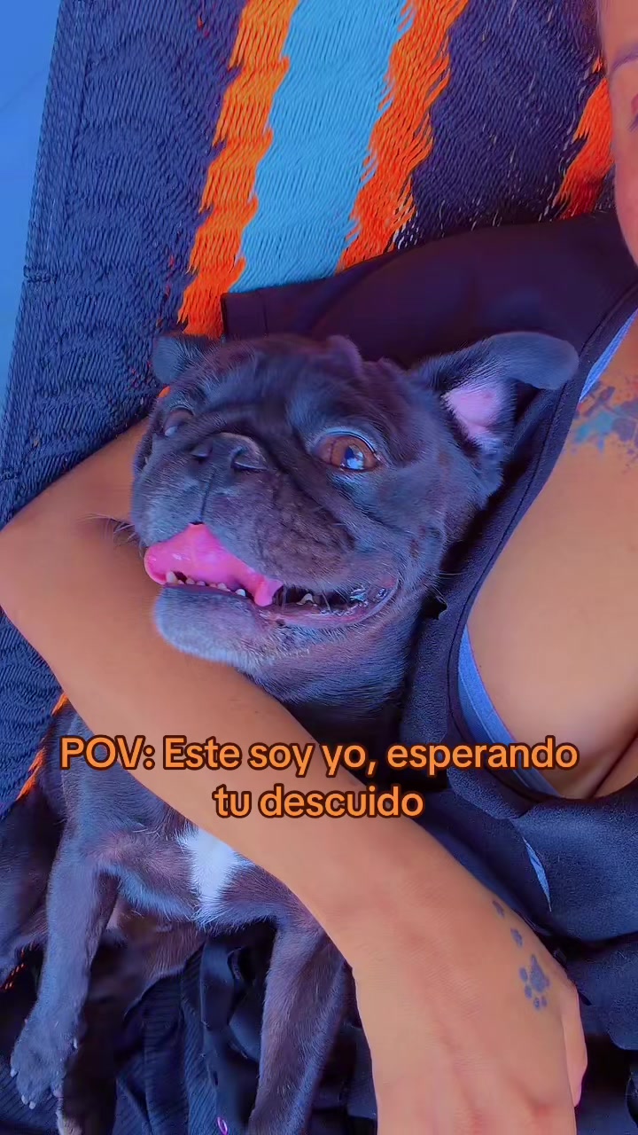 @Alba G