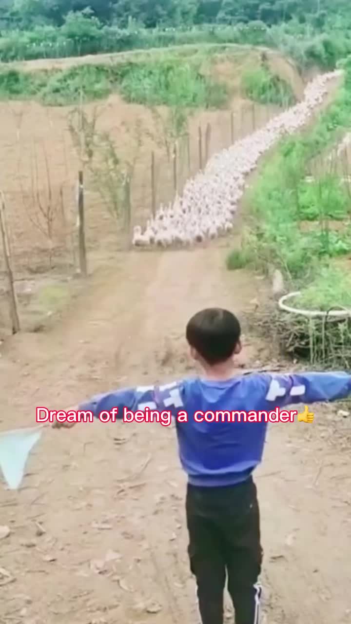 @SAY