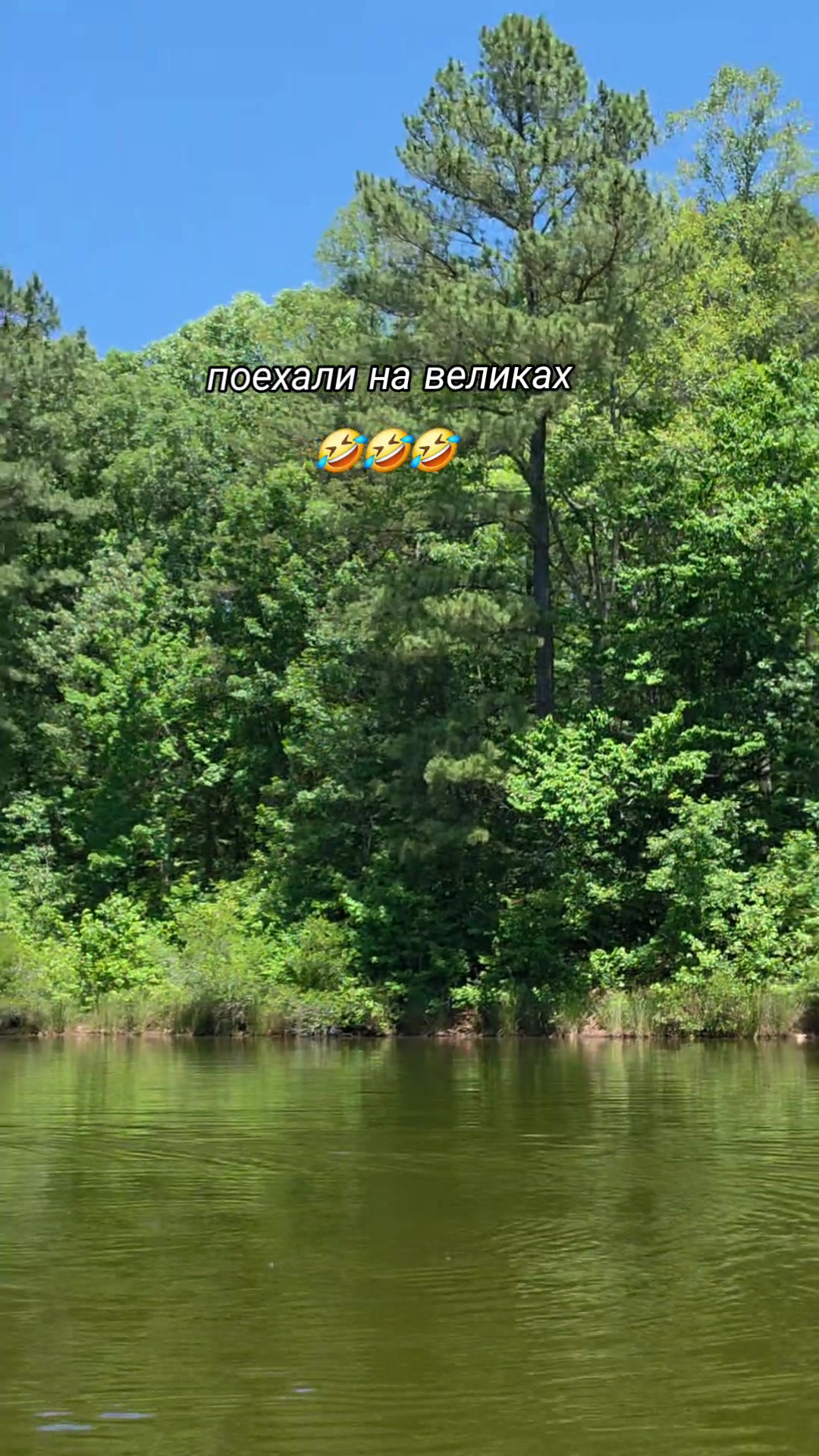 @Nata Liya