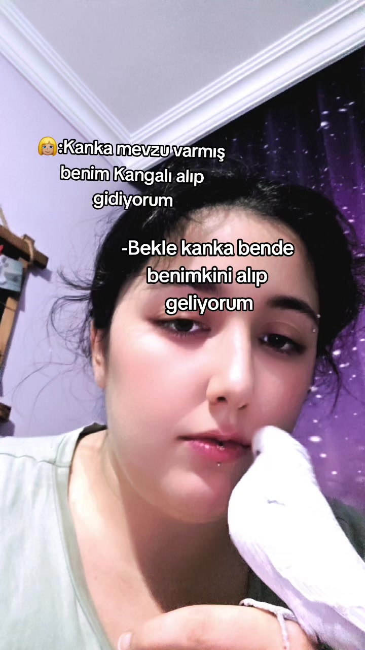 @ily