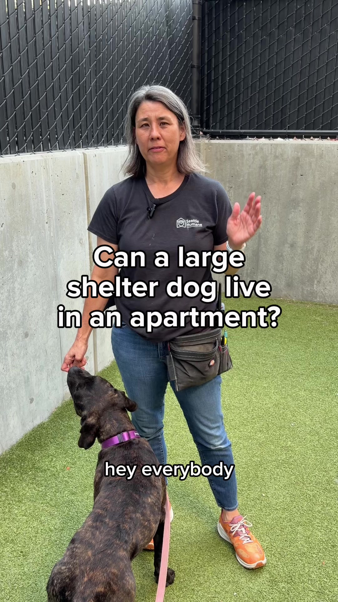 @Seattle Humane