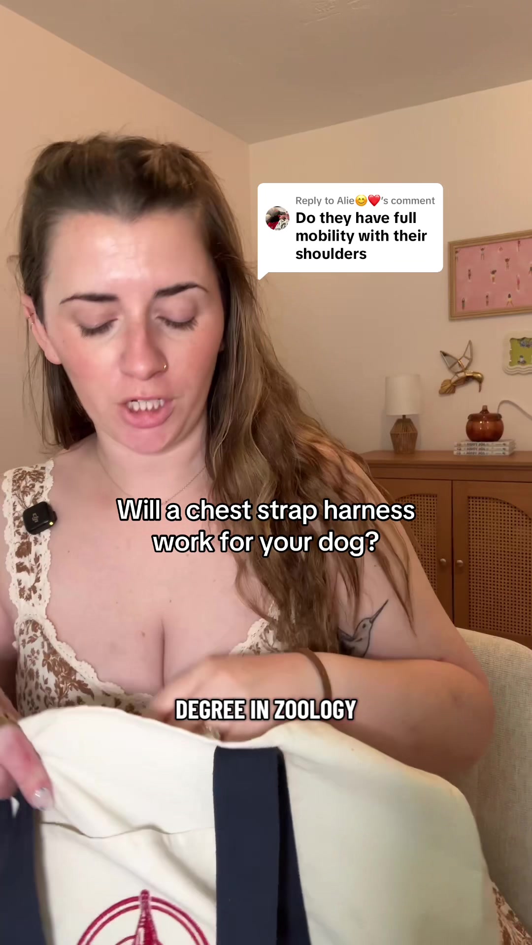 @Chelsea | Dog & Toddler Mom