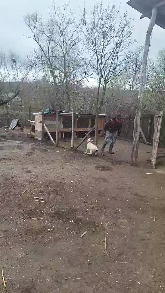 @𝚁ă𝚣𝚟𝚊𝚗❤️