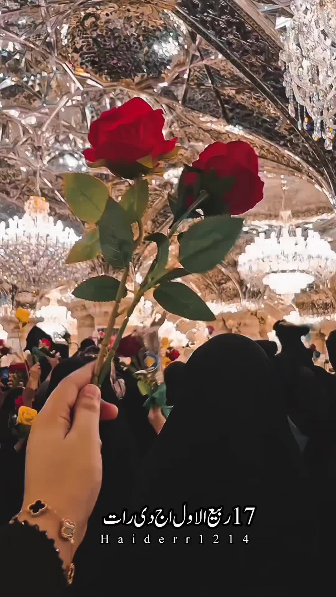 @HAIDER