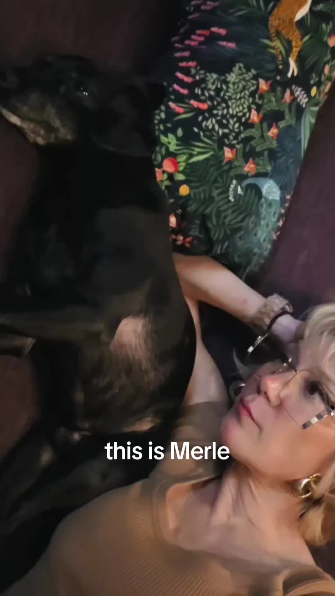 @thedanitanner