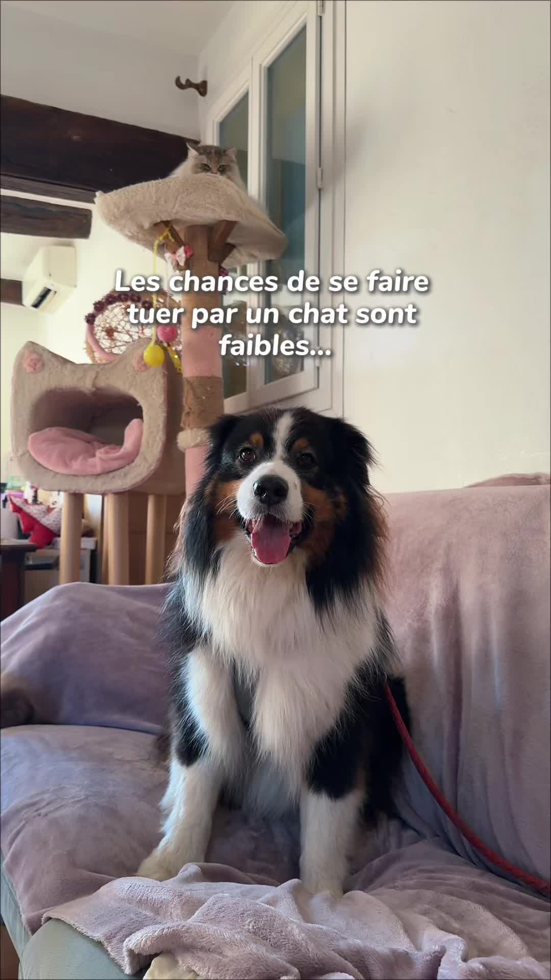 @La Patt’Enchantée